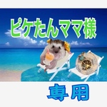 こちらはピケたんママ様専用