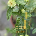 毎日ズボン3着＋スカート