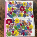押し花小花セット