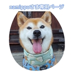 namippuさま専用ページ