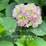 ご専用オーダーブレス