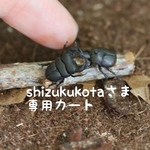 shizukukotaさま専用カート