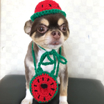犬用＆猫用  スイカ帽子 スイカポシェット、スイカ浮き輪🍉夏用変身グッズ