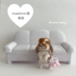 maehrm様専用 オーダーうちのこｼﾘｰｽﾞ羊毛フェルト ちびっこ着せ替えウサギ
