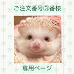 ご注文番号③番様専用ページです