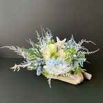 Starfishu shell arrange