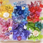 プリザーブドフラワー花材　ハーバリウム花材　ドライフラワー　花材　花材　キャンドル　レジン　