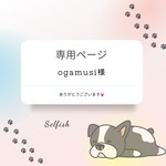 ogamusi様専用カートでございます