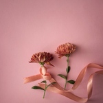 YUKI様専用ページ