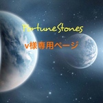 v様専用ページ