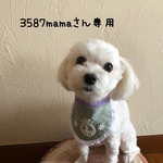 犬用スタイ・お名前スタイ