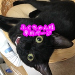 ふくちゃん様専用ページ