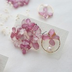 アナベルのリース