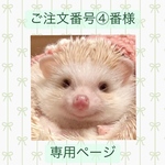 ご注文番号④番様専用ページです