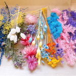 お買い得！A4サイズ　プリザーブドフラワー花材　ハーバリウム花材　ドライフラワー花材　花材　レジン　