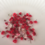 かすみ草ドライフラワー赤