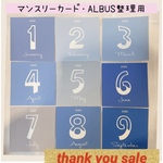 【即日発送】★大人気★ マンスリーカード　アルバス　整理用　くすみブルーグレー