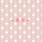 専用ページ