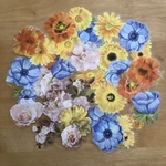 PETシール　big 40 flowers (2)