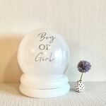 【DIY　新作フェザー入り♥】　ジェンダーリビールバルーン　｜　妊娠発表　妊娠　マタニティフォト　ジェンダーリビール