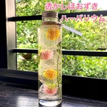 透かしほおずきハーバリウム《ほおずき4個入り》