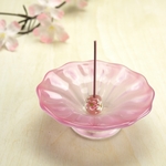 香立蓮（ピンク・桜玉）