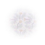 arroway様　専用♩