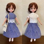 リカちゃん　ギンガムチェックのセットアップ、白ブラウス、バッグのセット