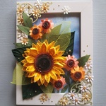 Sunflower and Echinacea