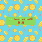 Sol.handmade様専用フォーム⭐︎