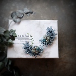 Petrichor syndrome Pierce （Earring）*☂︎*̣̩⋆̩