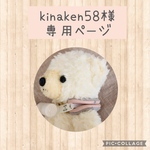 kinaken58様専用