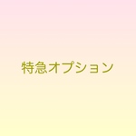 特急オプション