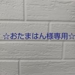 【おたまはん様専用】わっしょいわっしょい꒰( ˙ᵕ‎˙ )꒱