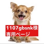 専用ページ