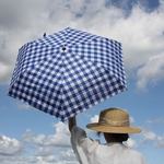 晴雨兼用傘 UV完全カット 竹ハンドル  ブロックチェック　ネイビー　block check navy 163410