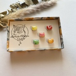 陶器　猫　フルーツバスケット　5粒set ピアス/ノンホールピアス