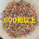 ★訳あり★600粒以上かすみ草