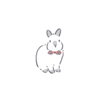 うさちゃんイラスト【シンプル】