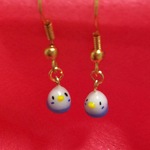 セキセイインコちゃん ピアス