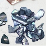 06 新色marine マリン シェルパーツ 全6色 レジン 封入 シェル