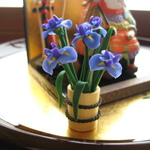 小さい花菖蒲　ミニチュア