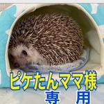 こちらはピケたんママ様専用