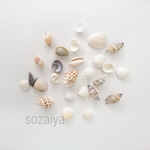 天然貝 シェル アソート 20g 貝殻 巻き貝 二枚貝 1〜3㎝ ウェディング装飾 天然素材 ハンドメイド資材 貝 小サイズ