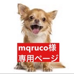 専用ページ
