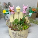 ハンドメイド　ガーデンピック　お月見ピック　多肉植物