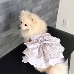 犬服　花柄シャーリングワンピース　ラベンダーピンク　犬ワンピース