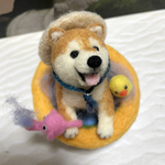 ビニールプール🐥で大はしゃぎの柴犬ちゃん🐕羊毛フェルト