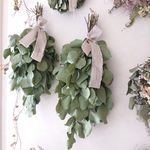 ユーカリポポラスのスワッグ H104-M / Ｌ