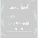 いっちゃ様 専用